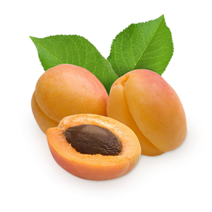 Apricot PNG-12644